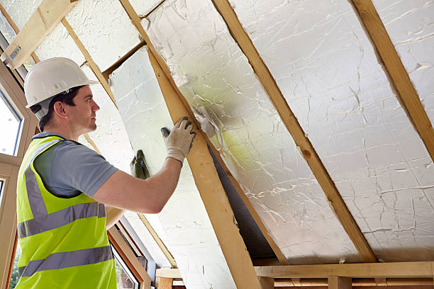Best Geographic-Specific Insulation Services in Lake Success, NY